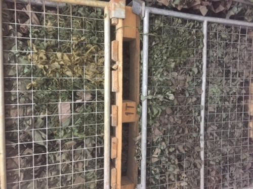 USED 10'x10' ARMY CAMMO NET