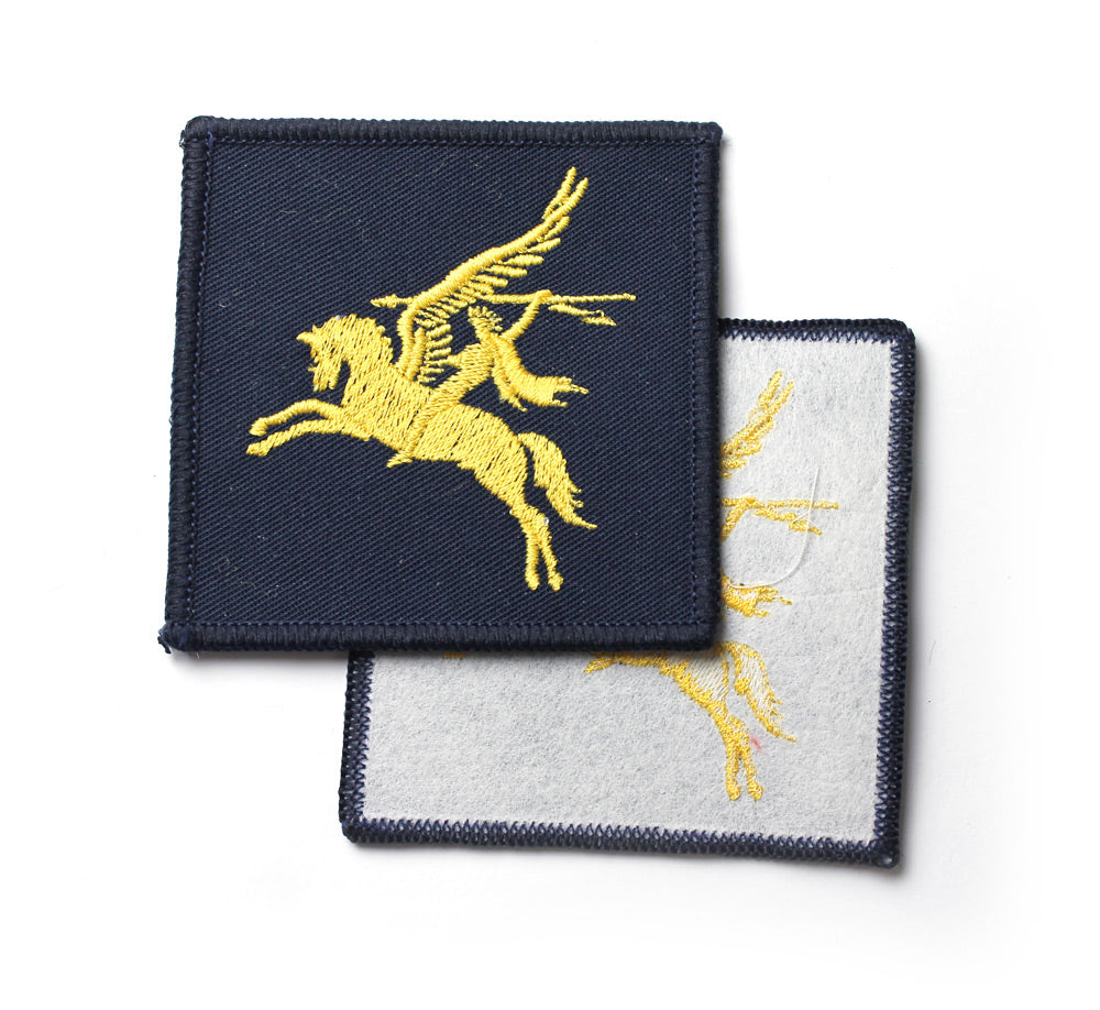 PARA PEGASUS PATCHES PAIR - YELLOW ON BLUE