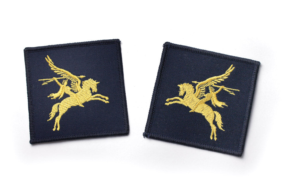 PARA PEGASUS PATCHES PAIR - YELLOW ON BLUE