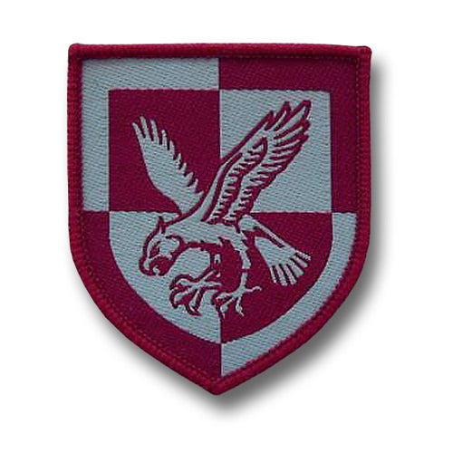16 AIR ASSAULT DZ BADGE