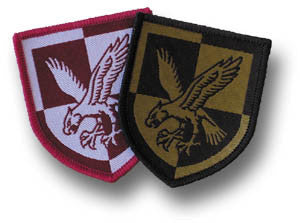 16 AIR ASSAULT DZ BADGE - Silvermans
 - 2